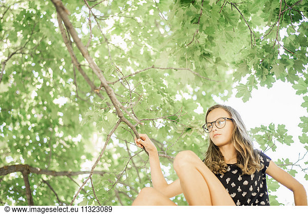 A young girl in shorts sitting on a high tree branch under a canopy of green leaves.