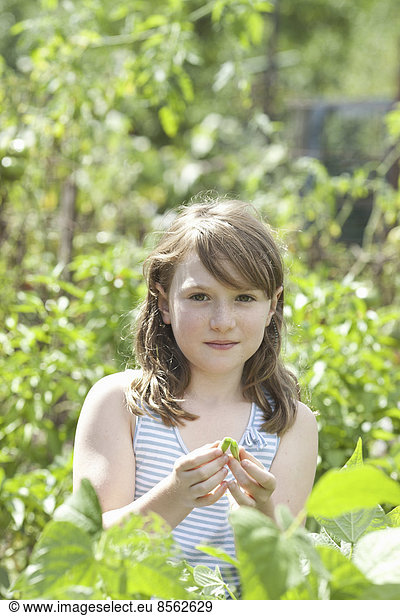 A young girl sitting in among the fresh green foliage of a garden. Vegetables and flowers. Picking fresh vegetables.
