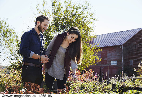 A young man and woman looking at plants on a display at a garden centre.