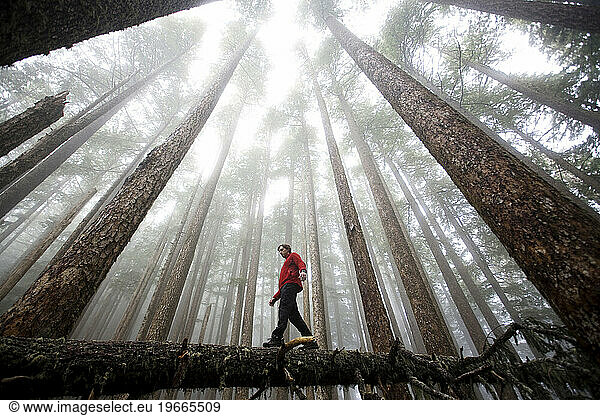 A young man balances on a log in a foggy forest.