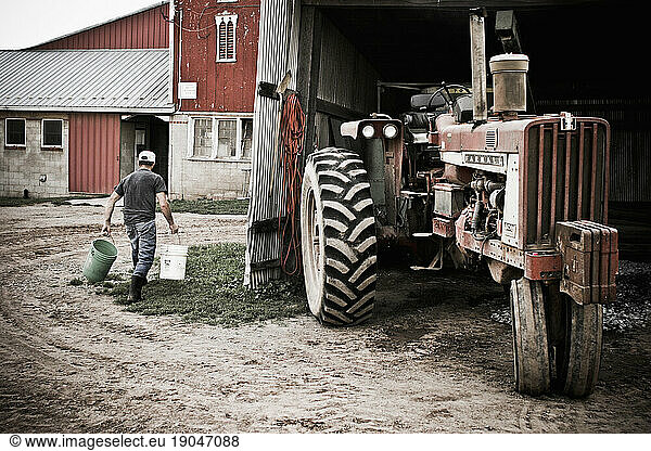 A young man carries buckets of grains into the barn in their family farm in Keymar  Maryland.