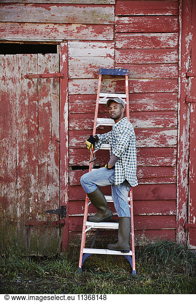 A young man in working clothes and cap standing on a ladder leant up against a barn.