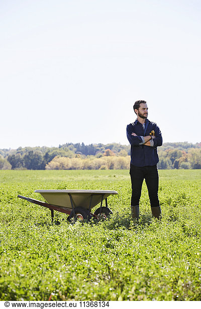 A young man in working clothes standing in a crop field with arms folded next to a wheelbarrow.