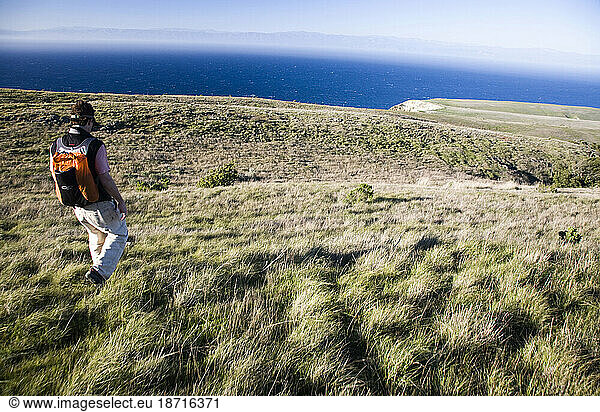 A young man walks through wild grasses overlooking the deep blue ocean and a clear sky overhead.