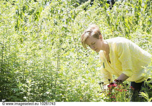 A young woman standing in flower beds  surrounded by plants and picking flowers.