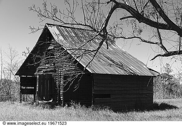 Abandoned barn  empty and ruined  black and white image.