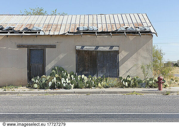 Abandoned building  cacti and fire hydrant