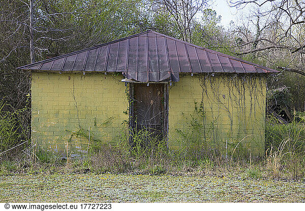 Abandoned building with overgrown foliage.