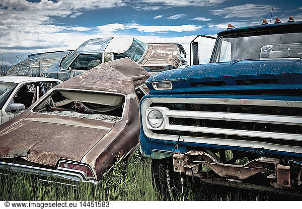 Abandoned cars in junkyard
