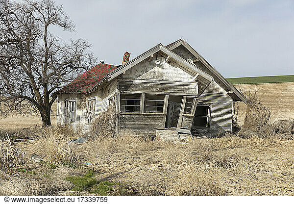 Abandoned homestead in a rural landscape  falling down