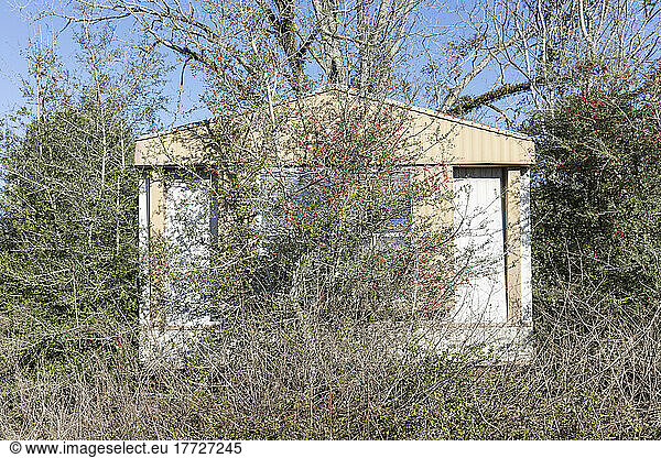 Abandoned trailer home with shrubs and saplings growing up over it.
