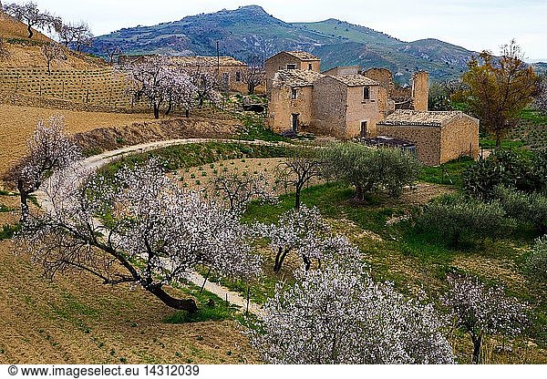 Abandoned village in the province of Enna  Sicily  Italy  Europe