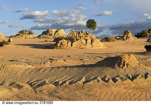 Abendstimmung in den versteinerten Sanddünen des Mungo National Park  New South Wales  Australien