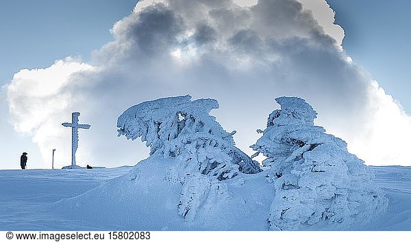 Abermandln und Gipfelkreuz auf dem Großen Arber  Bayerischer Wald  Deutschland  Europa