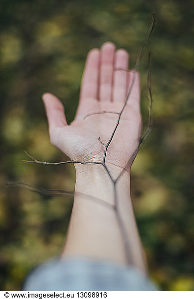 Abgehackte Hand einer Frau balanciert trockenen Pflanzenstamm
