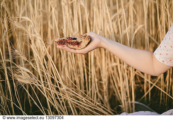 Abgehackte Hand einer Frau  die eine süße Pastetenscheibe nach Kulturen auf dem Bauernhof hält