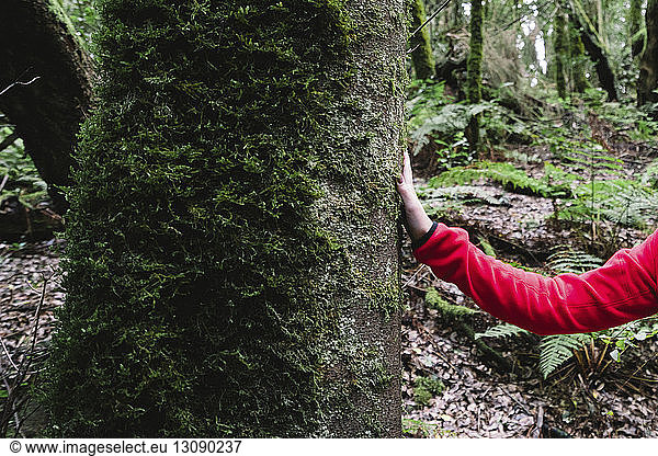 Abgehackte Hand einer Wanderin am moosbewachsenen Baumstamm im Wald im Garajonay-Nationalpark