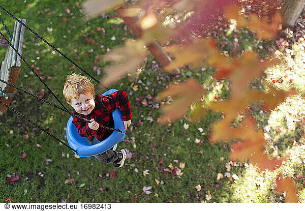 Above head view of toddler boy 3-4 years old swinging on fall day