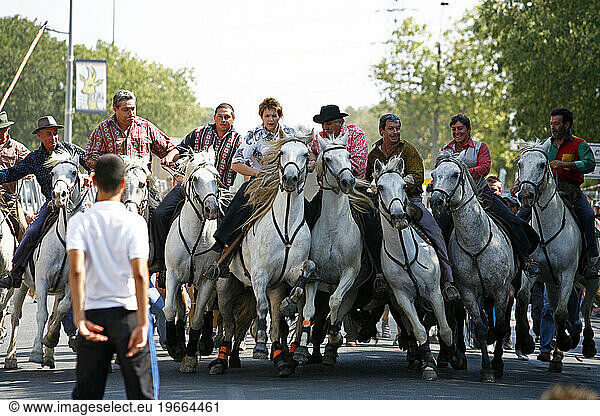 Abrivado during the Feria du Riz  Rice festival  Arles  Provence  France.