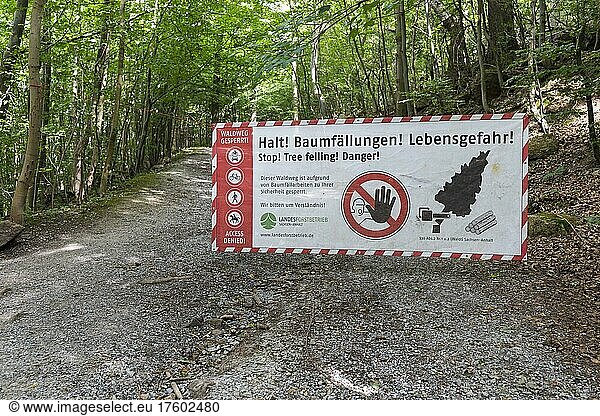 Absperrung von einem Waldweg wegen Gefahr durch Baumfällungen  Nationalpark Harz  Sachsen-Anhalt  Deutschland  Europa