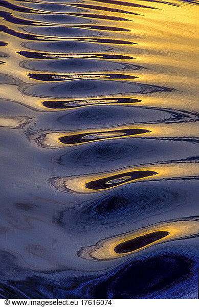 Abstract shapes created by the icy blue ripples illuminated with golden sunlight on the calm waters at sunset; Antarctica