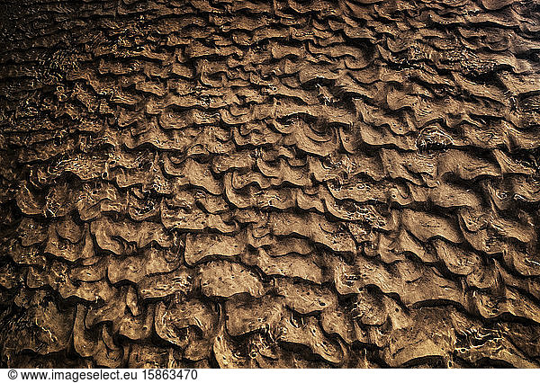 Abstrakte Wasserbildung in einem sandigen Boden im Pantanal
