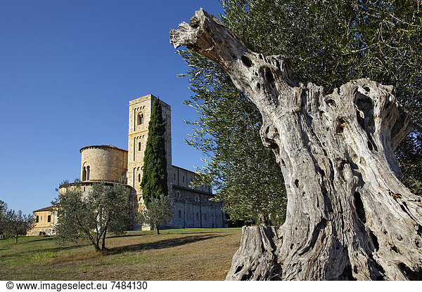 Abtei SantÆAntimo  Castelnuovo del Abate  Montalcino  Region Toskana  Provinz Siena  Italien  Europa