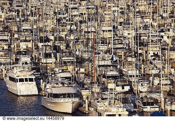 Abundance of moored boats in harbor