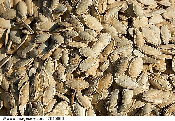 Abundant amount of shelled pumpkin seeds in the view