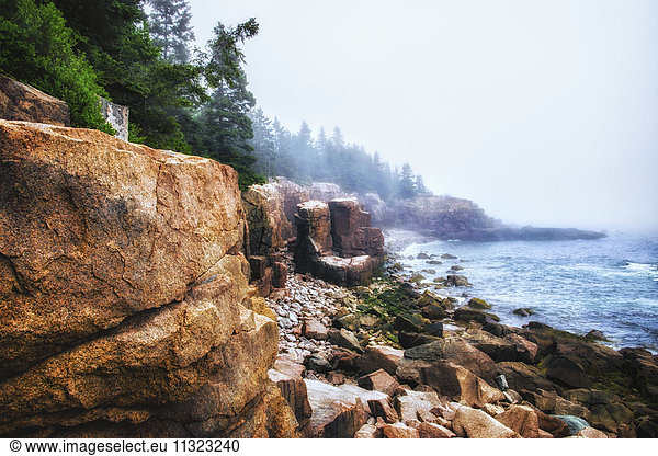 Acadia National Park in Maine. Coastline  stony beaches and pine forests.