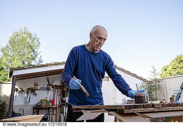 Active senior man painting wooden plank at back yard