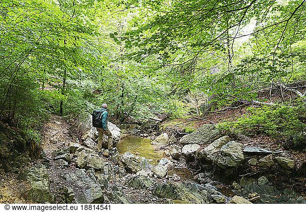 Active senior man standing on rock in forest