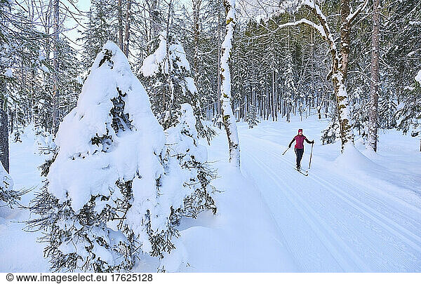 Active senior woman skiing by trees on snow