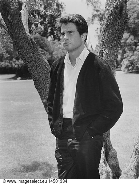 Actor Warren Beatty  Portrait Standing Near Tree  Early 1960's