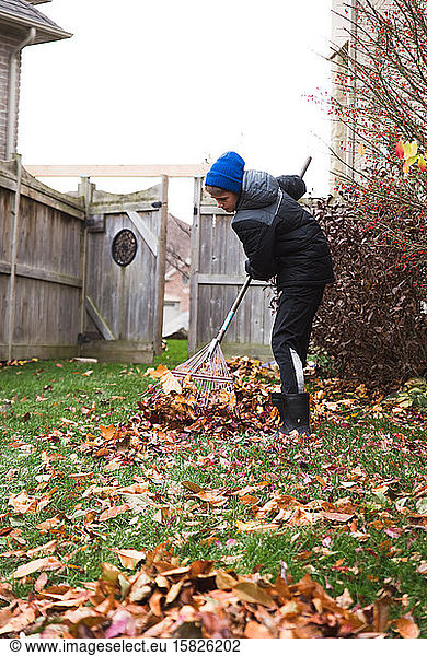 Adolescent boy raking leaves in the backyard on a fall day.
