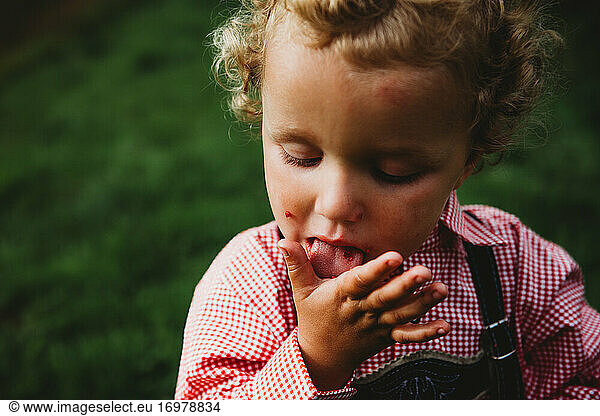 Adorable boy licking hands eating raspberries at farm with Lederhosen
