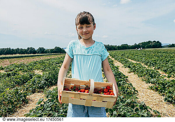 Adorable girl shows a basket full of strawberries on a farm field