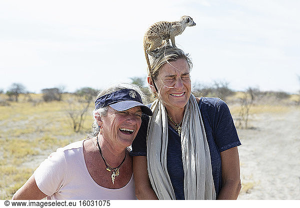 adult woman with Meerkat on her head  Kalahari Desert  Makgadikgadi Salt Pans  Botswana