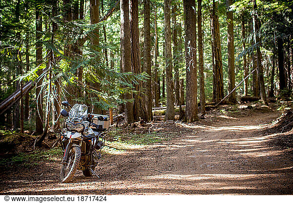 Adventure Motorcycle Ride Down Forest Dirt Road  near Mt. Hood Oregon