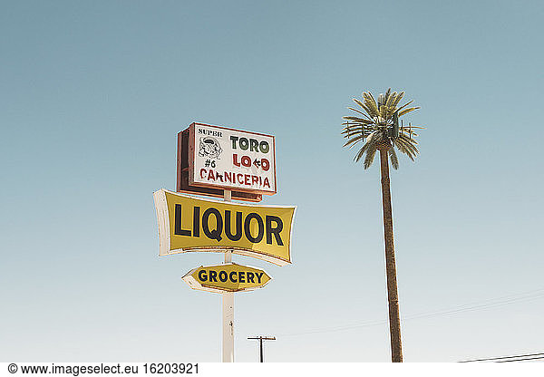 Advertising signs and palm tree  Salton Sea  California  USA