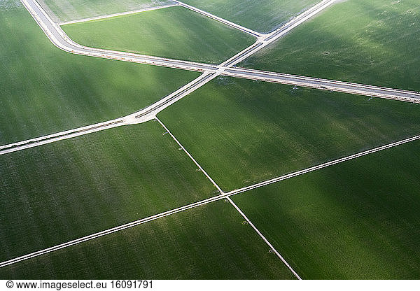 Aerial photography of rice paddies  Sevilla  Spain