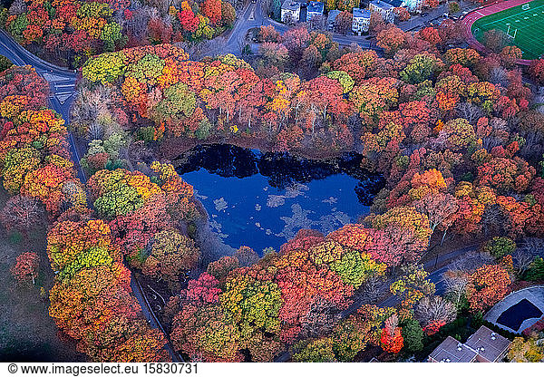 Aerial shot of a heart shaped pond surrounded by colorful fall trees.