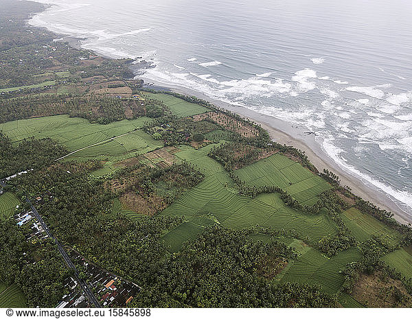 Aerial view  Agricultural country  Agriculture  Bali  Beach  Beauty of