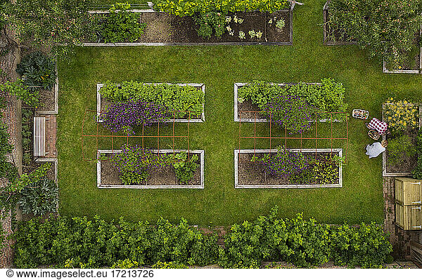 Aerial view couple gardening in lush garden with raised beds