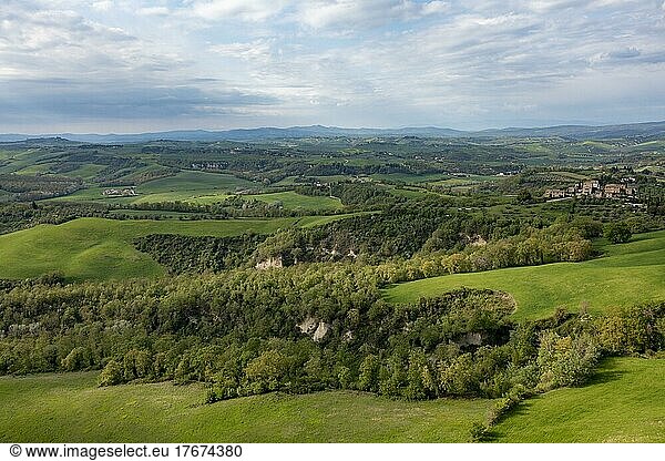 Aerial view  Hilly landscape with cypresses (Cupressus)  Crete Senesi  Province of Siena  Tuscany  Italy  Europe