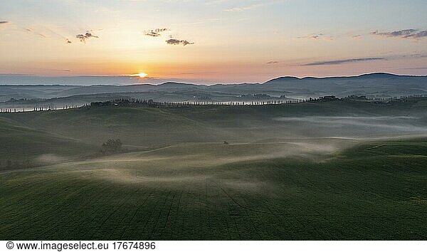 Aerial view  Hilly landscape with cypresses (Cupressus)  Sunrise  Crete Senesi  Province of Siena  Tuscany  Italy  Europe