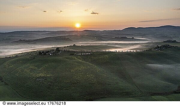 Aerial view  Hilly landscape with cypresses (Cupressus)  Sunrise  Crete Senesi  Province of Siena  Tuscany  Italy  Europe