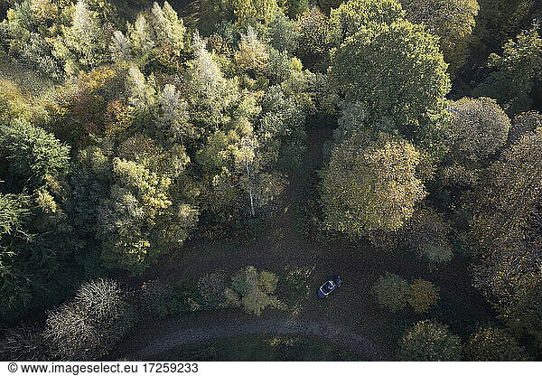 Aerial view idyllic autumn treetops