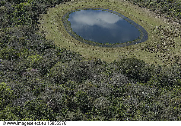 Aerial view of a blue lake in brazilian Pantanal Wetlands