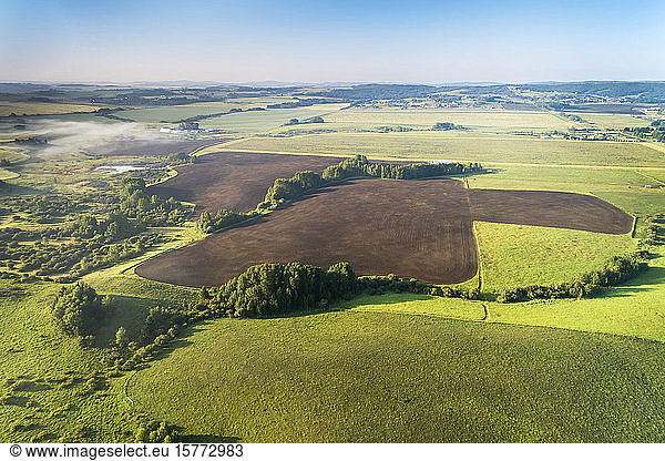 Aerial view of a dark clean soil field surrounded by trees and green fields  West of Calgary; Alberta  Canada